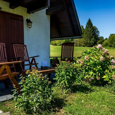 Riverside ديلنايس