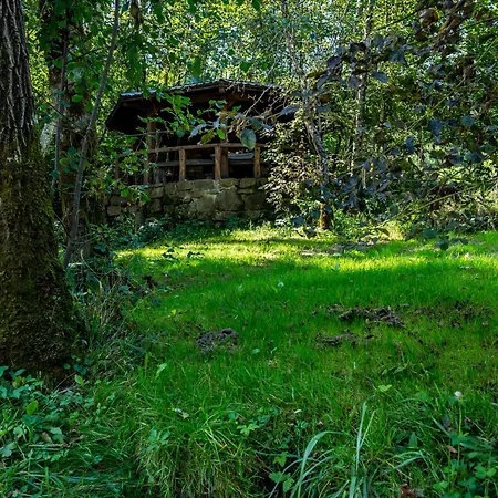 Chalet Riverside Delnice