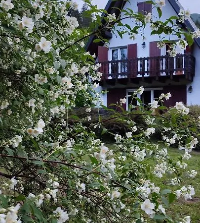 Brvnara Riverside