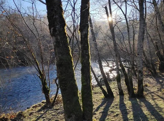 Riverside 木屋 代尔尼采